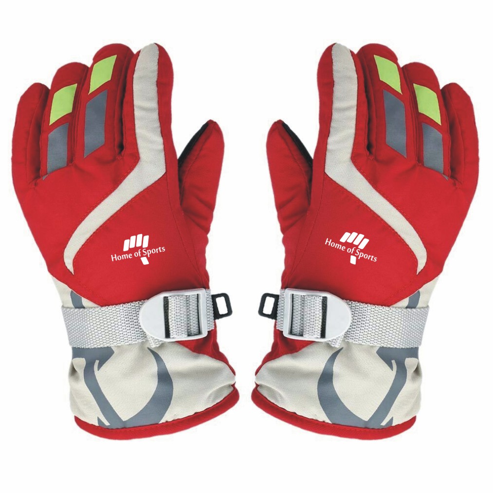 Ski Gloves