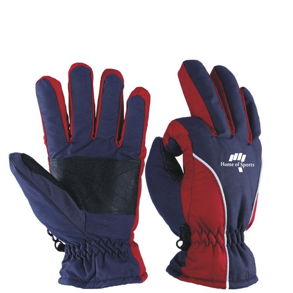 Ski Gloves