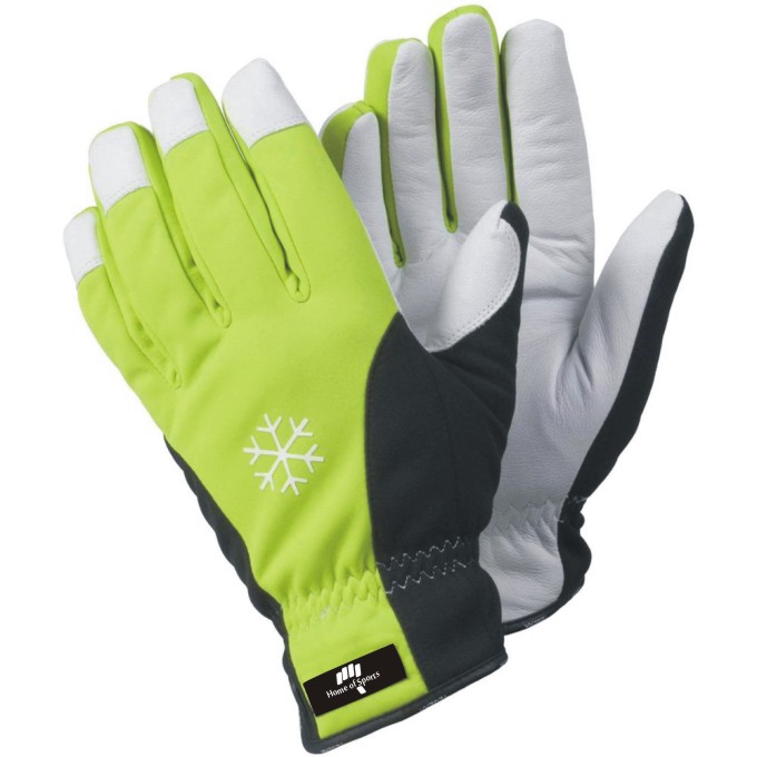 Winter Gloves